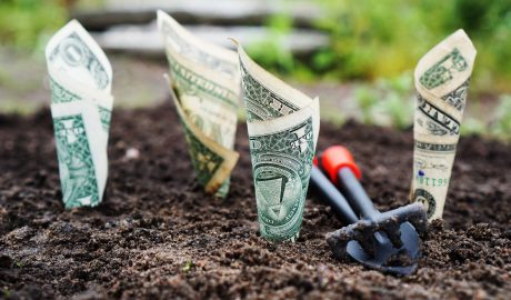 Money growing in dirt with garden tools