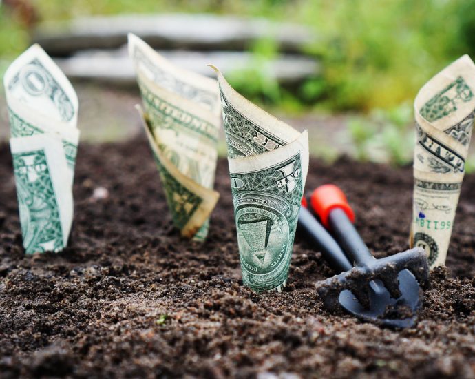 Money growing in dirt with garden tools