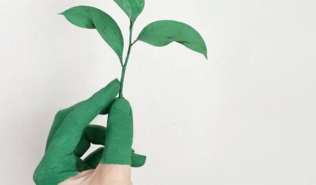 hand with painted green fingers holding green leafy branch